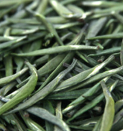 Весенний цельный равнинный зеленый чай.